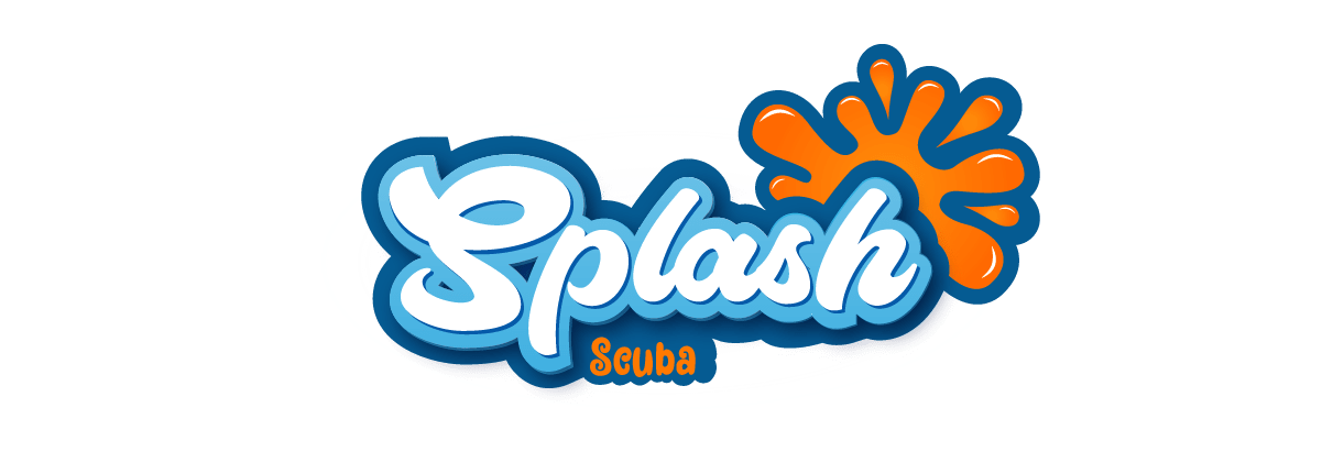 Splash Services-10